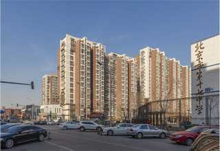 江苏四条筋花型哪种好