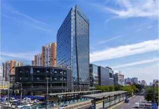 临西哪些网络推广排行榜